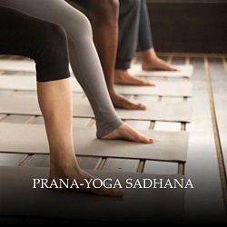 Prana-yoga Sadhana Course in July-072024