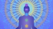 Прямой эфир «Техника трансцендентальной медитации (ТМ). Вопросы и ответы»